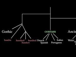 Latin And Its Indo European Language Family