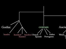 latin and its indo european language family youtube