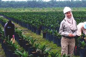 Pabrik kelapa sawit (palm oil mill). Anisa Handayani Melawan Stereotip Di Perkebunan Kelapa Sawit