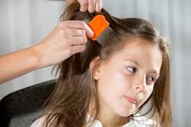 Boils commonly develop because bacteria have infected hair follicles, which are the small openings that hair grows from. Head Lice Removal Tips Parents