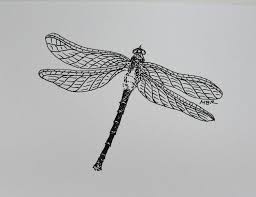 Black And White Insect Drawings Original Art Ink Drawing Dragonfly Art Black And White Insect Etsy Dragonfly Art Ink Drawing Art Ink