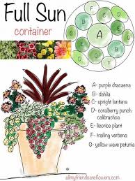 24 designer plant lists for beautiful container garden plantings & colorful mixed flower pots combinations. Container Garden Recipe Great Ideas And Tips For Beginner Containergardenrecipe Shade Cont Container Gardening Flowers Garden Containers Container Flowers