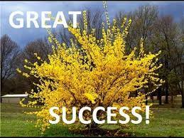 We did not find results for: Propagating Forsythias Amazing Results Youtube