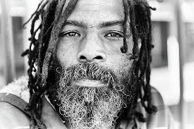 Spanish Moss Photos for Sale