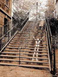 Les Rues De Paris Rue Levert 20eme Arrondissement Visite Insolite Paris Art De Trottoir Paris Photo