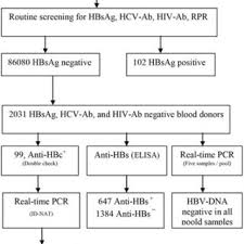 Check spelling or type a new query. Flow Chart Of Laboratory Process In Hbsag Negative Blood Donations Download Scientific Diagram