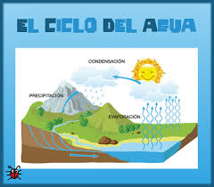 The simple mini reader will get novice bilingual students reading & speaking about el ciclo del agua. Actividades Para Educacion Infantil Experimento Nuestro Propio Ciclo Del Agua