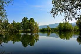 The sakarya river creates a webbing of estuaries in the province. Adapazari At The Delta Of The Sakarya River