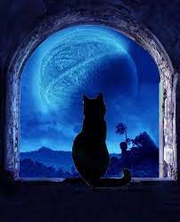 shades of blue おしゃれまとめの人気アイデア pinterest jan van jewell キャットアート 猫のイラスト 星空 イラスト