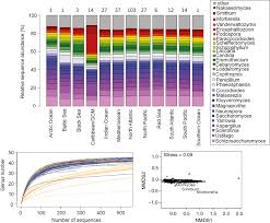 Welcome to our episode 3 where we will be show casing on of the newest towers in dubai marina. Global Diversity And Geography Of Planktonic Marine Fungi