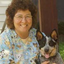 Find a Certified Animal Chiropractor in Cape Cod MA