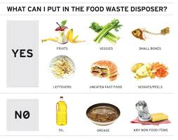 They are sturdy and are easy to clean. Disposaldosanddonts Garbage Disposal Garbage Disposable