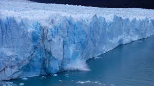 En fait, la fonte des glaces à certaines périodes de l'année, oblige les morses à se rapprocher des plages et à renoncer à la sécurité de leurs glaciers. La Fonte Des Glaces A Commence Avec Trois Semaines D Avance