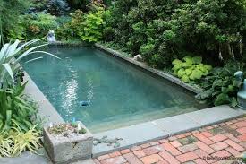 Pool In A Planted Nook Plunge Pool Cost Pool Cost Backyard Pool