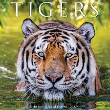 2022 Tigers Schedule Tigers 2022 Wall Calendar: Willow Creek Press: 9781549219825: Amazon.com:  Books