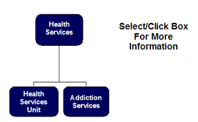 organizational chart health