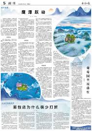 金晨AI 突破 界限 的 专属 体验 - 开启 神秘 领域