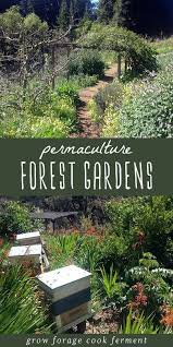 Forest Gardens Are The Best Most Hands Off Way To Grow Your Own Food Learn About Guilds And Food Forests In Permacul In 2020 Waldgarten Permakulturgarten Permakultur