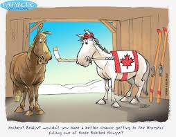team indiait's a gold at the olympic stadium! Horses And Hockey Who Knew Aww My All Time Two Favorite Things Horse Cartoon Funny Horses Horses