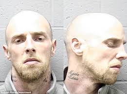 Jewelry designer stabbed to death with screwdriver 'by parolee who broke  into her apartment hoping to steal at DVD player'