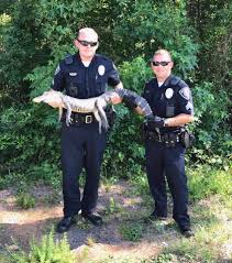 Every day is different... This...