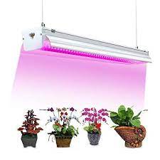 Before you decide on buying led grow lights for your cannabis plants you need to know why you should buy it. 4ft 64w Led Grow Light Fixturegrow Lamp Bulb For Indoor Plants Green House Plant Hydroponic Seed Led Grow Lights Grow Light Fixtures Grow Light Fixture