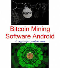 Mycelium the most popular bitcoin wallet on android. Bitcoin To Usd Chart Buy Bitcoin No Verification Bitcoin Plus Website Bitcoin Cash Wallet Selling Bitcoin On Paxful Bes Bitcoin Mining Cryptocurrency Bitcoin
