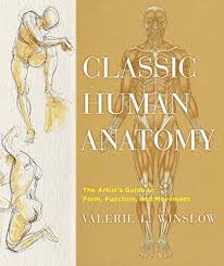 This item is large, and may take some time to download. Pdf Download Classic Human Anatomy The Artist S Guide To Form Func
