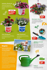 Zg Raiffeisen Prospekt 26 4 2019 4 5 2019 Rabatt Kompass