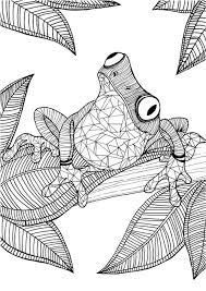 Check spelling or type a new query. Frog Coloring Pages Clipart And Other Free Printable Sharable Designs