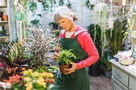 Flowering plants are one of the prettiest plant categories which everyone wants to have in their house. 12 Best Plant Delivery Services Online Plant Delivery Companies Changing The Industry