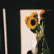 Pin Oleh Isabela Carvalho Di Flora Plant Flower Estetika Bunga Fotografi Bunga Poster Bunga Kami telah menyajikan contoh gambar sketsa bunga, gambar bunga, serta berikut ini kumpulan gambar sketsa bunga, gambar bunga, dan lukisan bunga yang mudah ditiru, diantaranya seperti sketsa bunga matahari, mawar. flower estetika bunga