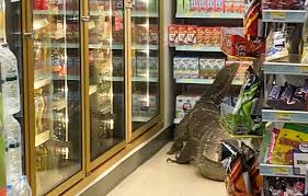 When Customers Walked Into The Grocery Store To Buy Things They Screamed In Panic When They Saw The Creepy Alien Monsters Invade The Earth
