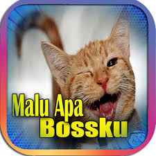 'malu apa bossku' itu tiga perkataan yang ditulis pada sebuah poster dengan gambar bekas perdana menteri, najib razak menunggang sebuah motosikal yang menjadi tular di media sosial memetik artikel akhbar online, utusan. About Malu Apa Bossku Photo Sticker Frame Google Play Version Malu Apa Bossku Photo Google Play Apptopia
