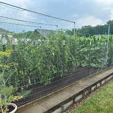 Main Street Wellington Garden Tour and Expo set for July 20