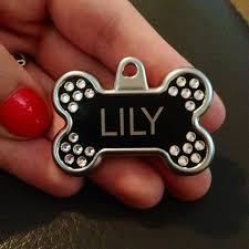 Petsmart | we pin helpful pet care tips, product trends, and adorable pet photos for pet parents to enjoy! Cutesie Dog Tag From Petsmart Dog Tags Lily Petsmart