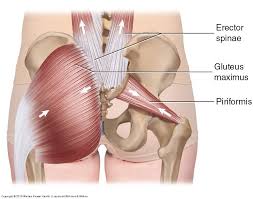 The hip flexors are muscles that extend from the hips to the knees. Is Your Si Joint Jammed Again Discover Long Term Relief Posturepro