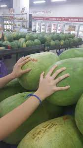 Look at those huge melons! : rFoodPorn