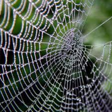 Produced by marvel studios and distributed by walt disney studios motion pictures. Spider Dream Meanings Spider Dream Interpretations Dream Interpretations Hubpages