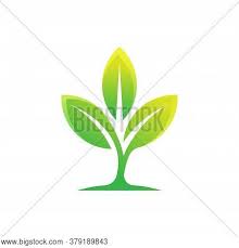 14,711 likes · 2 talking about this. Leaf Leaf Icon Leaf Vector Photo Free Trial Bigstock