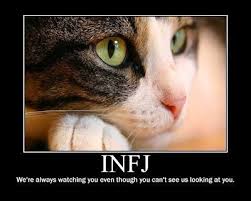 Infj Myers Briggs Personality This Just Made Me Laugh And Infj Personality Infj Intj And Infj