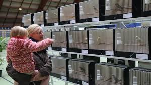 Check spelling or type a new query. Gravelines Le Salon Des Oiseaux Se Poursuit Ce Week End A Sportica