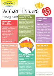 Umfangreiche auswahl an bloom produkten. Gardening And Planting Calendar Australian Climates Winter Flowers Searles Gardening