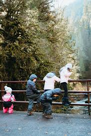 The northern area of the park (which includes hurricane ridge), the pacific coastline, the temperate rainforest, and staircase. Staircase Rapids Loop In Olympic National Park Loving Life Moore