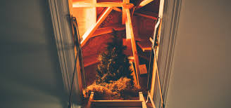 Whether you are looking for telescoping attic stairs or folding attic ladders, the rainbow attic stair family of products, manufactured by sp partners llc, represents the highest quality solutions and most innovative metal stairs for attic and other space access available. 7 Best Pull Down Attic Ladders 2021 Reviews Luxury Home Remodeling Sebring Design Build