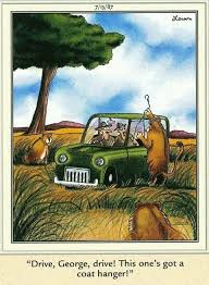 Image result for funny far side cartoons