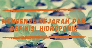 Apa Itu Hidroponik Halo Sobat Hostersss Hari Ini Kita Akan Menambah Wawasan Secara Umum Nih Sudah Tau Belum Defenisi Hidropon Di 2020 Hidroponik Sejarah Sahabat
