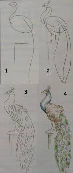 Kids Art Drawing Lessons For Beginners A Peacock How To Draw Painting For Kids Luntiks Crafts And Art Activities Ga Art Lessons Art Drawings Drawings