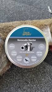 H N Baracuda Hunter 25 45 Fpe Vs Squirrel Pneumatic