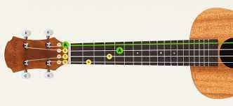 Tuning a bass ukulele can be tricky, but these tips will help make sure that your bass ukulele gets in tune and stays that way! Free Online Ukulele Tuner Standard And Special Tunings Ukutuner